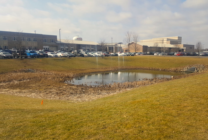 <p>The pond before any restoration work.</p>
